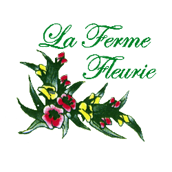 (c) Ferme-fleurie-hollain.com